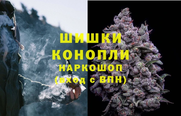 сатива Абаза