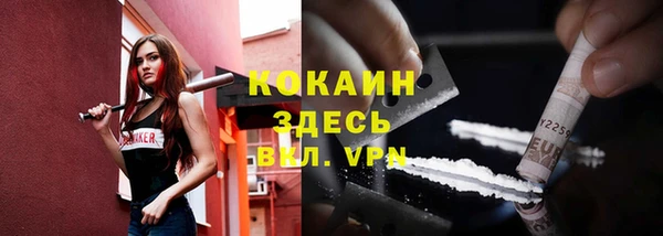 сатива Абаза