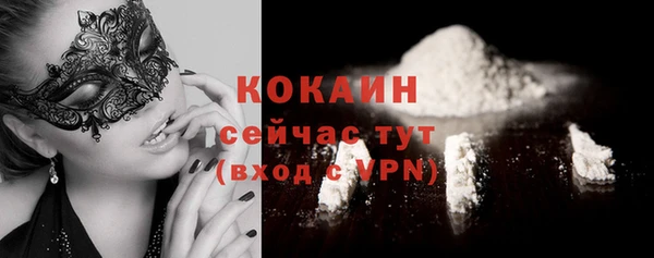 apvp Пестово