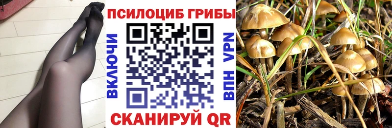 Галлюциногенные грибы прущие грибы  Пыталово 